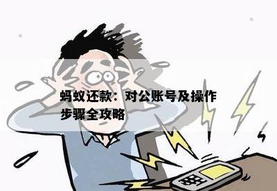 使用还呗的对公账户还款功能，让还款更简单、安全、高效