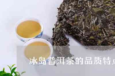 冰岛特色普洱茶：品鉴与特点解析