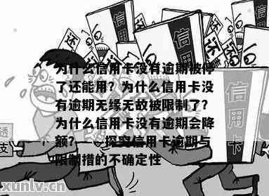 为什么信用卡没有逾期被停了？疑惑解除，关键因素揭秘！