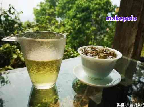 普洱茶中的茶精：探索小精灵的神秘世界