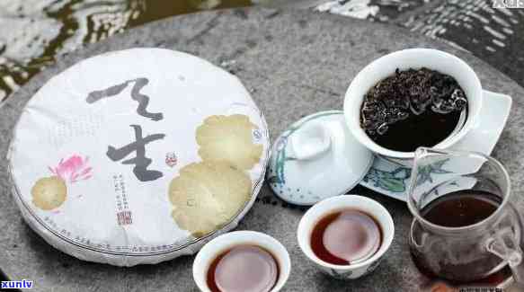 普洱生茶饼泡法：怎样泡出更好喝的普洱生茶饼