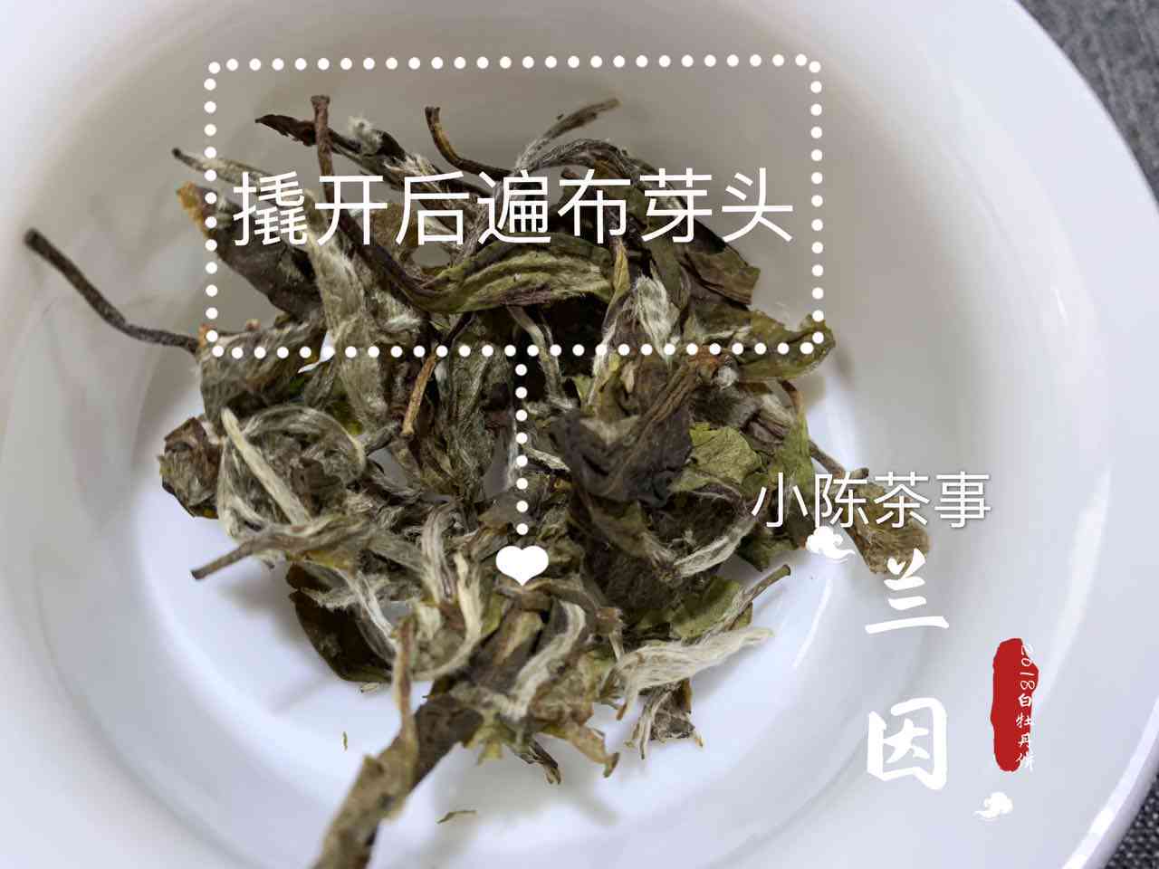 白牡丹普洱茶饼的价格及功效，了解生熟区别与存方式