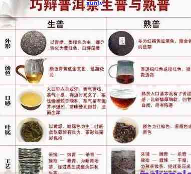 红茶、普洱茶：对比与选择，深入解析其独特功效及适用场景