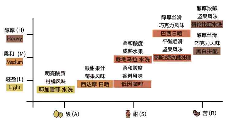 201布朗雀茶：品种特点、产区、制作工艺及品鉴方法全面解析