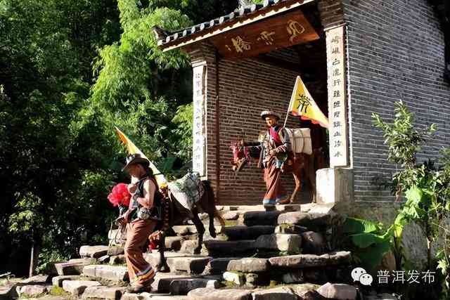 穿越时空之旅：探寻茶马古道的神秘面纱