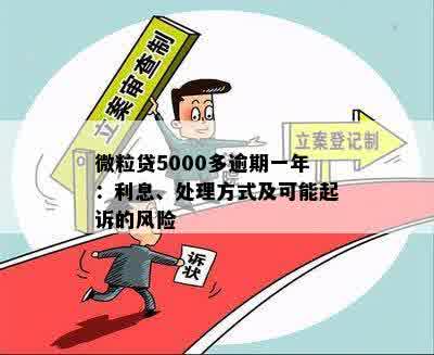 逾期20天的微粒贷5000元：潜在的信用风险与应对策略