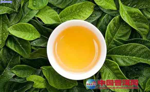 '普洱茶绿色有哪些：绿色普洱茶的名字与推荐'