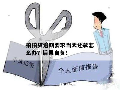 逾期不提交资料：后果自负，证据待提交，公司承担一切