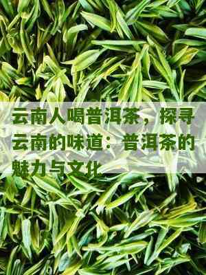 云南普洱茶之乡：方言与普通话的对比及其文化魅力