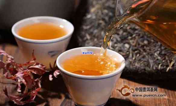 中茶普洱茶标杆茶是什么茶