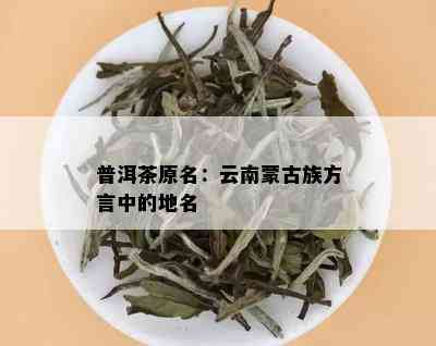 说方言的普洱茶