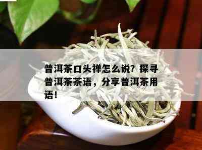 说方言的普洱茶