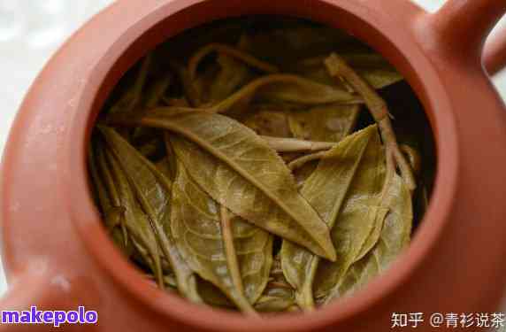 普洱茶芽头散茶泡法：如何才能喝出好味道？