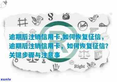 注销后恢复信用卡使用：重新开通步骤与注意事项