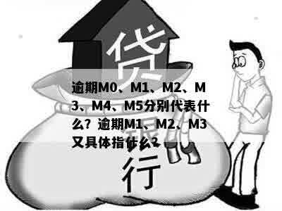 了解M0-M6:逾期贷款的全面解释与处理方法