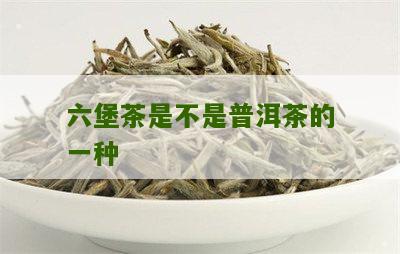 六堡茶像普洱茶吗？是真的吗？六堡茶味道像普洱，是不是普洱茶？