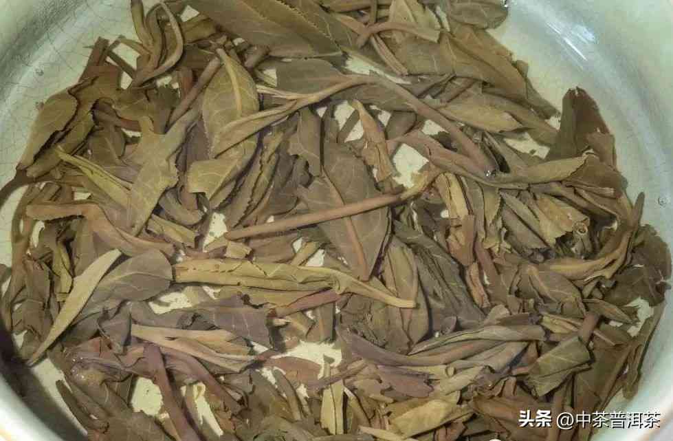 '揭秘普洱茶标签缺失紧压茶信息的真实原因及影响'