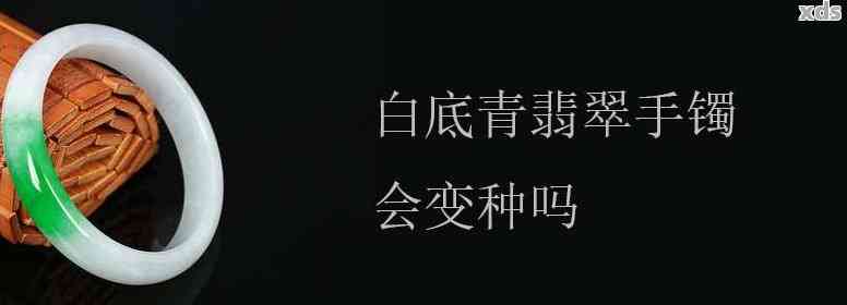 白底青变种问题全面解析：如何应对、修复与预防？