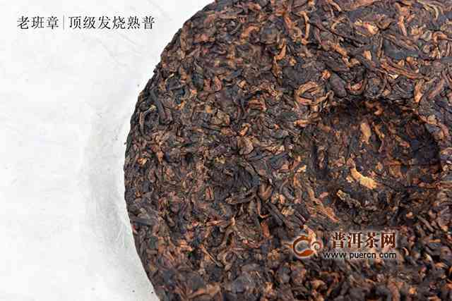 全面解析金芽普洱茶：它是熟茶吗？如何正确泡制与品鉴？