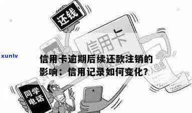 逾期信用卡注销后对信用评分和未来信贷申请的影响分析