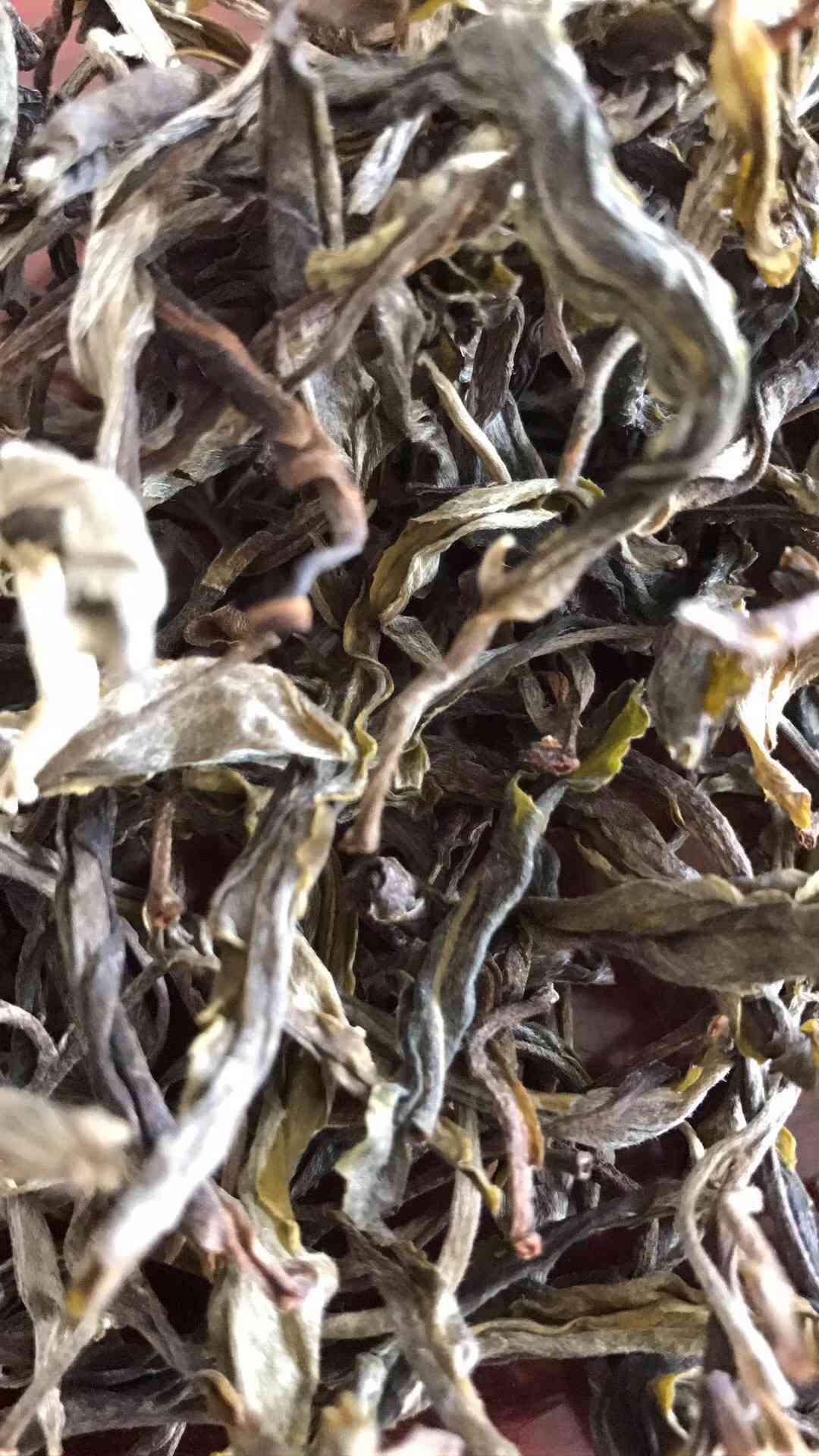 怎么样才能选到好的普洱茶