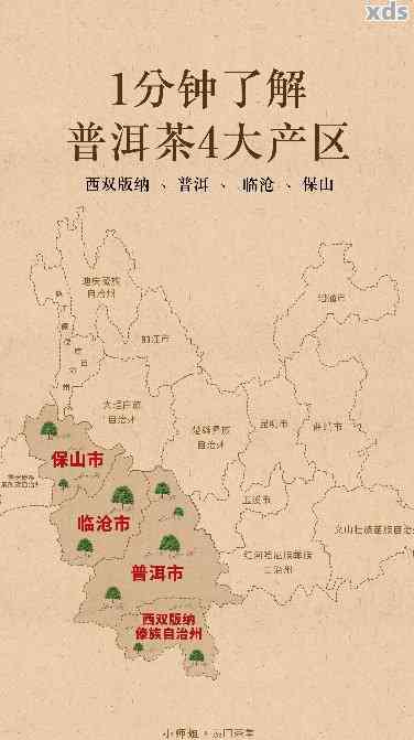 普洱茶产区、及茶叶类型的全面指南：了解各地区特色茶叶及其知名