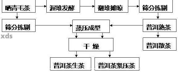 普洱茶发酵后的不同阶及其特点：探索普洱茶的发酵过程及产物