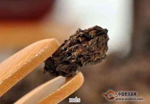 普洱茶小茶头的全面解构：由来、产地、品质、冲泡与品鉴全解析