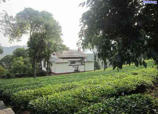 中国普洱茶博览苑简介：文化博览与酒店体验的完美结合