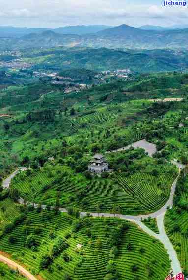 '普洱茶文化博览园：C区简介与地址'