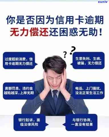 寻找解决信用卡逾期问题的公司：一站式服务与策略指导