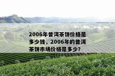 2006年产地普洱茶饼批发价格与促销活动分析