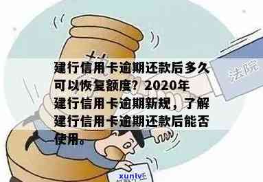 探索建行信用卡还款策略：应对2020年逾期新规的实用指南