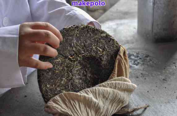 普洱茶饼蒸制前的作用、技巧与注意事项