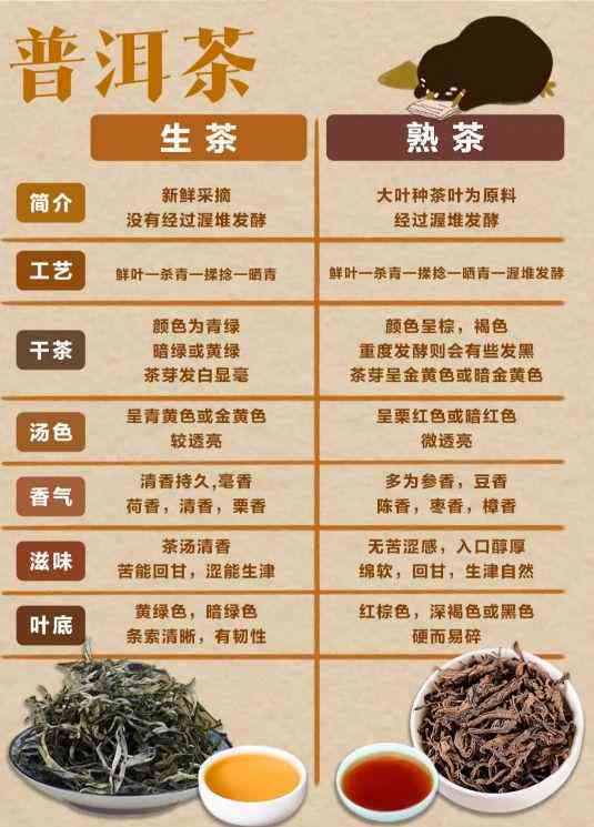 全面解析：茶马世家普洱茶价格表，了解普洱茶各类品种及市场价