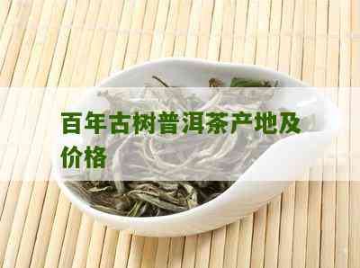 三百年古树普洱茶：优质百年生茶的批发与采购价格详解