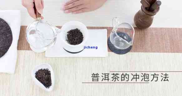 从茶包到泡法：全面解析绿茶、普洱茶的冲泡技巧与品鉴方法