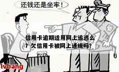 欠信用卡跑了会不会成为网逃人员？