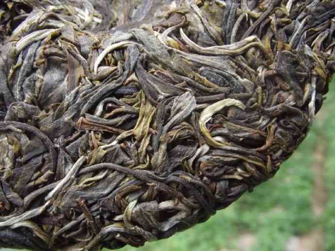 熟普洱茶5年份