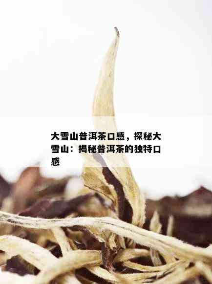 大雪山野生古树普洱茶生茶：独特口感与文化内涵的完美融合