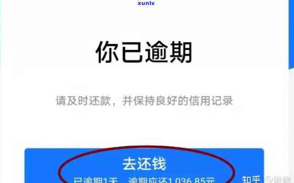 为什么借呗逾期一天了还了之后没有显示还款记录？