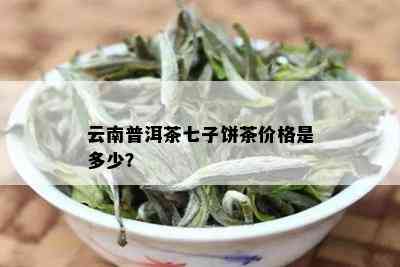 云南7年普洱茶价格多少