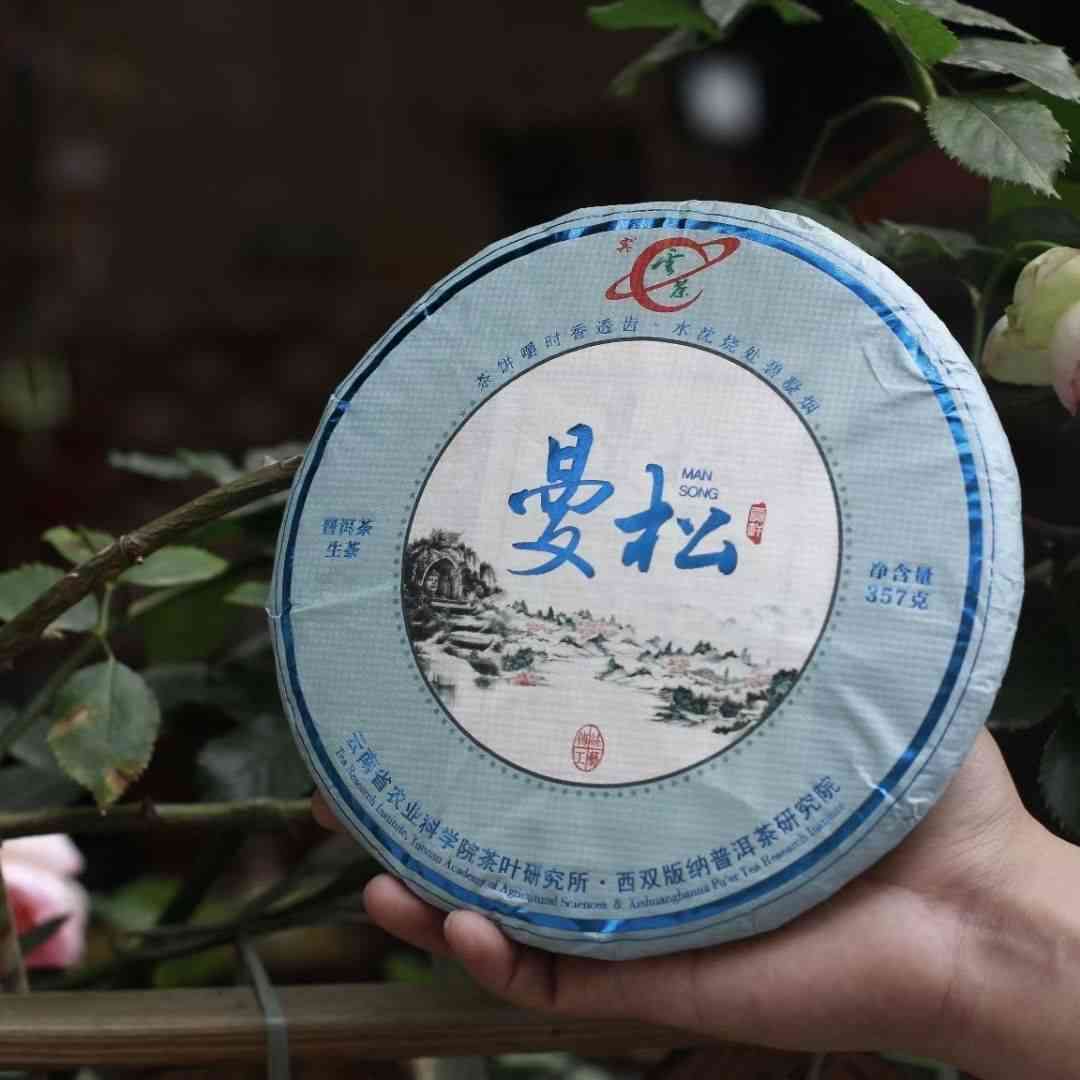 云南曼松普洱茶生茶357克