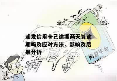 浦发信用卡逾期11天的影响与处理方法全面解析：了解严重性、后果及解决方案