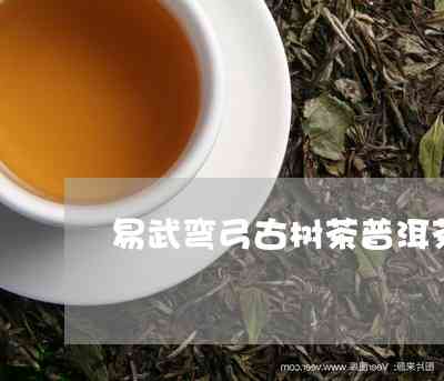 古树普洱茶易武弯：阿里的特色产品新发现