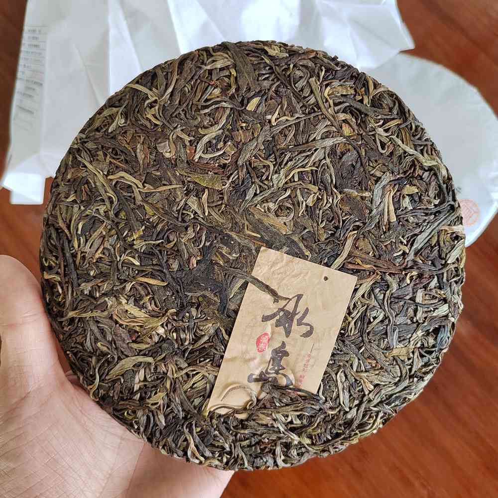 春茶生茶普洱茶