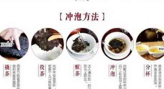 普洱茶：正确饮用方法、功效与禁忌的全面解析，让你喝出健与美味