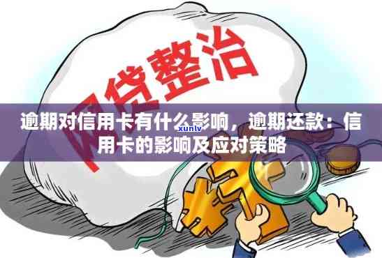 信用卡网贷逾期解决方案：如何应对、期还款及改善信用记录全攻略