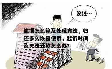 '明知无还款能力仍借出，能否追回？犯法吗？怎么办？'