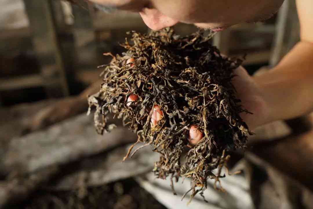 十年以上老班章古树熟茶：一款源自云南的纯正散茶